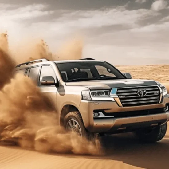 Image-4-e1731529245903